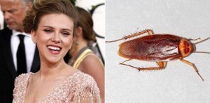 2-Scarlett-Johansson-Fear-of-Cockroaches