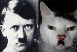 23-Adolf-Hilter-Fear-of-Cats