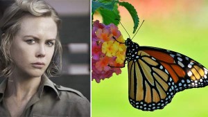 5-Nicole-Kidman-Fear-of-Butterflies
