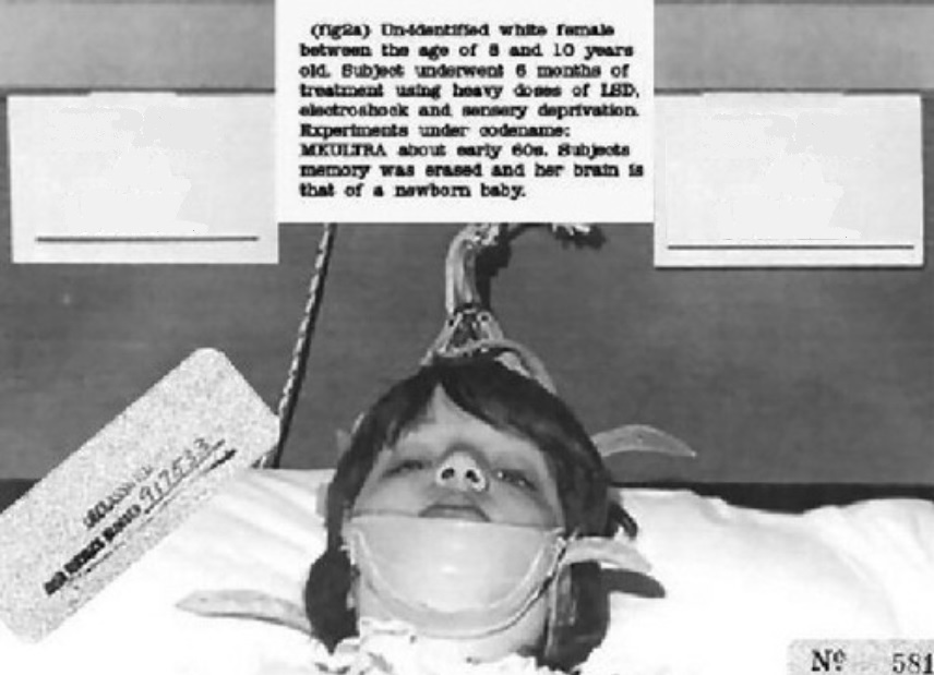 1969 monkey drug trials