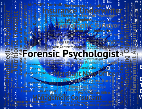 Understanding The Role Of Forensic Psychologists In Tampa, FL