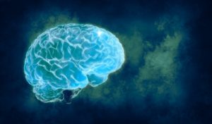 neuroplasticity in the brain